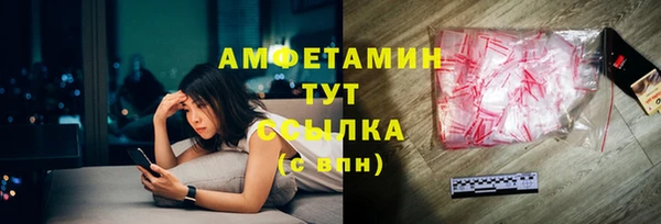 твердый Абаза