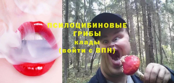 твердый Абаза