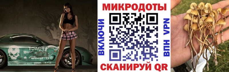 Галлюциногенные грибы ЛСД  blacksprut онион  Назрань  как найти закладки 