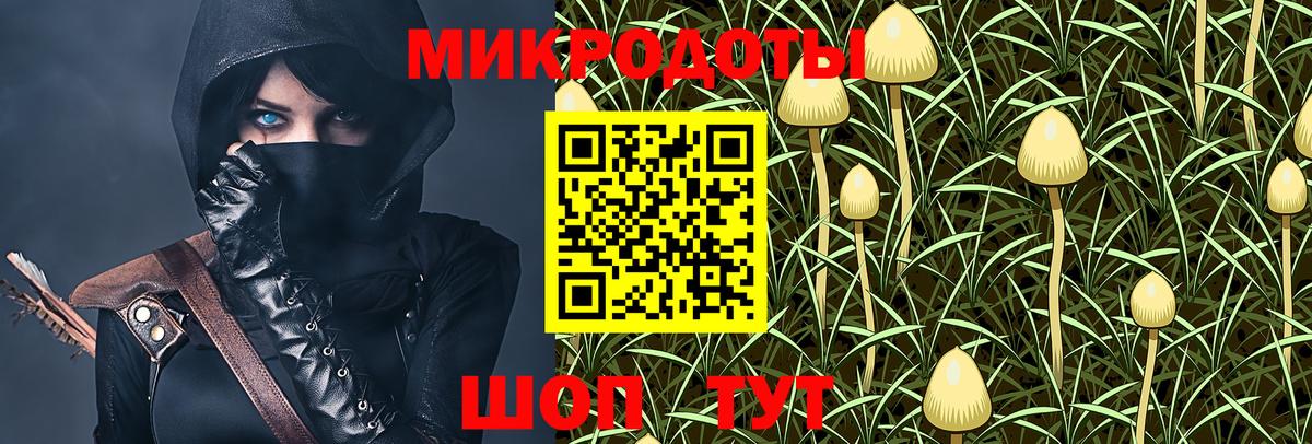 где найти   Вход с VPN  Назрань  Галлюциногенные грибы прущие грибы 